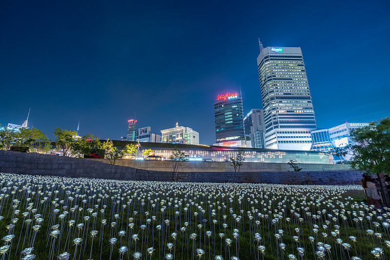 首尔东大门设计广场(DDP)的LED玫瑰田和城市天际线夜景图片下载