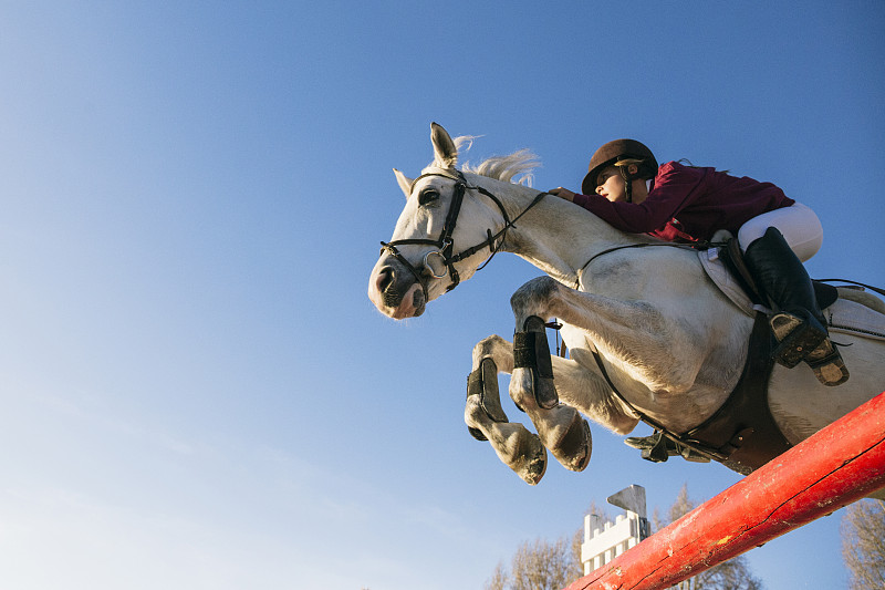 低角度的女孩骑着白马，而跳过障碍训练障碍课程对清澈的蓝天图片下载