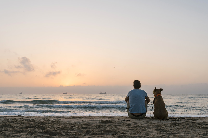 黎明时分，一个男人和他的狗坐在沙滩上图片下载