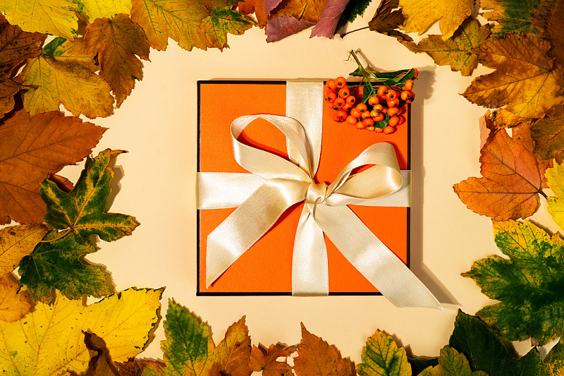 彩绘秋叶背景的边框礼盒。图片下载