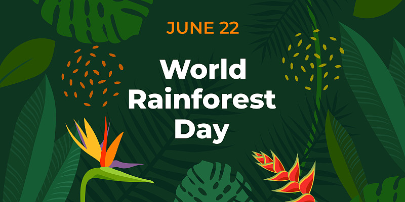 World Rainforest Day. Vector banner for social media, card, poster. Illustration with text World Rainforest Day, June 22. Tropical forest, jungle, exotic plants on a green background.图片下载