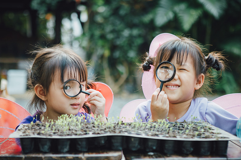 亚洲兄弟姐妹的孩子们在花园里玩耍和探索，用他们的种植芽。生态友好园艺和可持续生活的概念，在家里种植自己的食物。图片下载