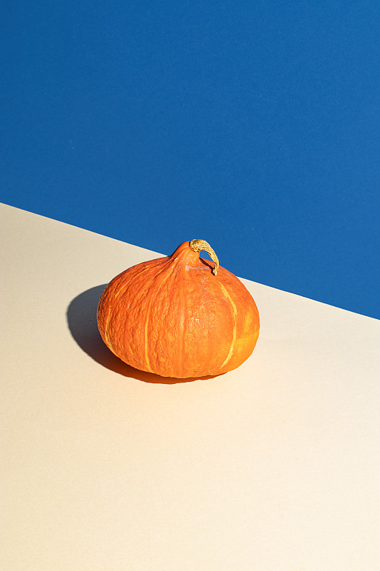 蓝色背景上的秋季橙色南瓜的创意布局。创造性的感恩节的概念。图片下载