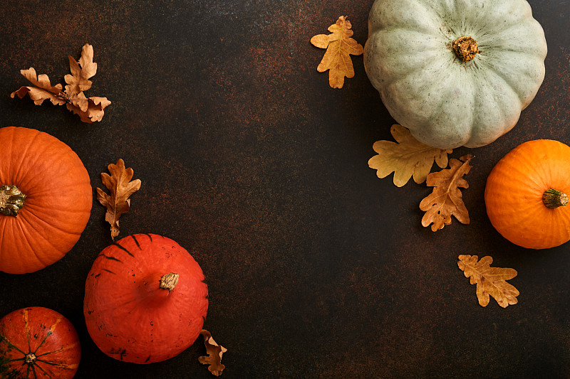 南瓜。秋天的食物背景与肉桂，坚果和季节香料在粗壮的乡村背景。为感恩节和秋季假期做南瓜或苹果派和饼干。俯视图复制空间。图片下载