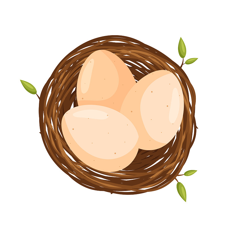 鸟巢里有三个蛋。从以上观点。矢量插图在平面卡通风格。图片下载