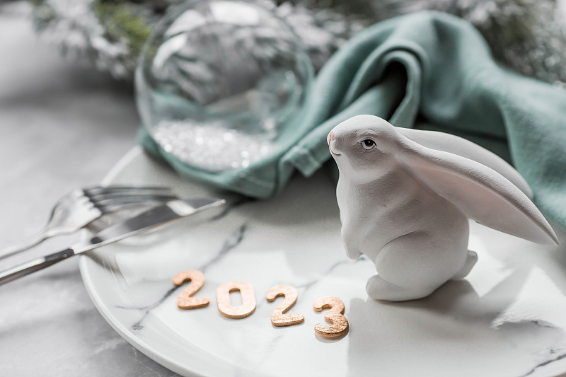 一张漂亮的节日卡片。新年和圣诞节快乐的概念。这一年的象征是一只白兔，背景是冷杉树枝和数字2023。图片下载