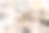 可爱美丽的棕耳球茎(棕耳球茎，由球茎组成的科)在美丽的kanhizakura (Cerasus sp.)中飞舞，吮吸花蜜。摄于2024年4月，日本东京文京区的小石川植物园。摄影图片