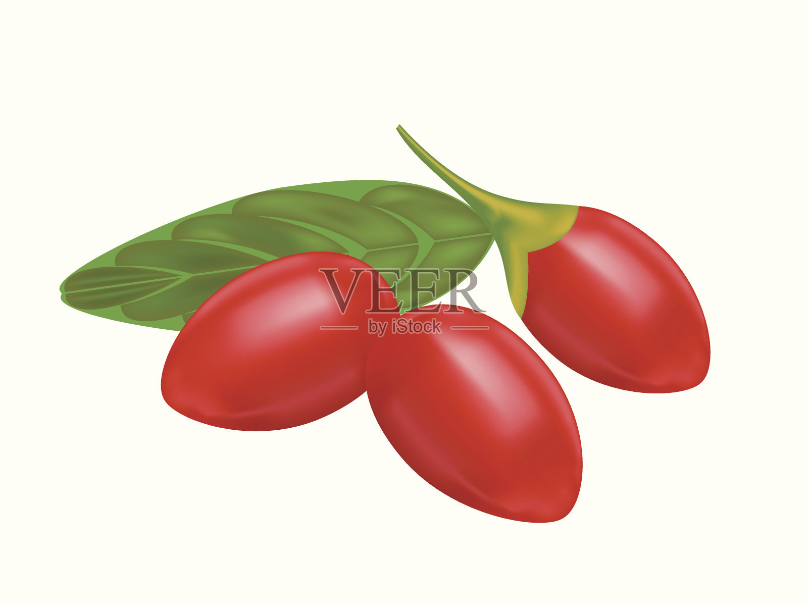特写三个红枸杞浆果和一片叶子插画图片素材