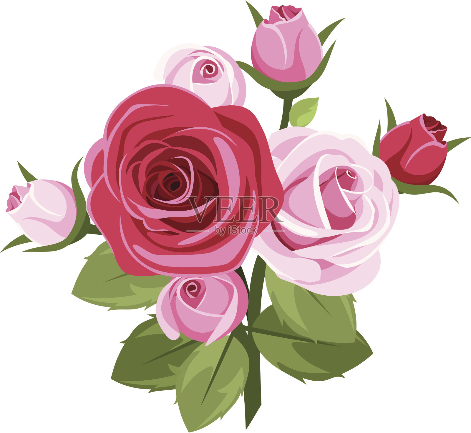 红色和粉色的玫瑰。矢量插图。插画图片素材