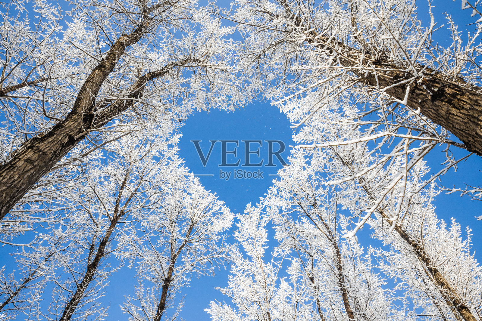 冬季山水，树枝形成心形图案照片摄影图片