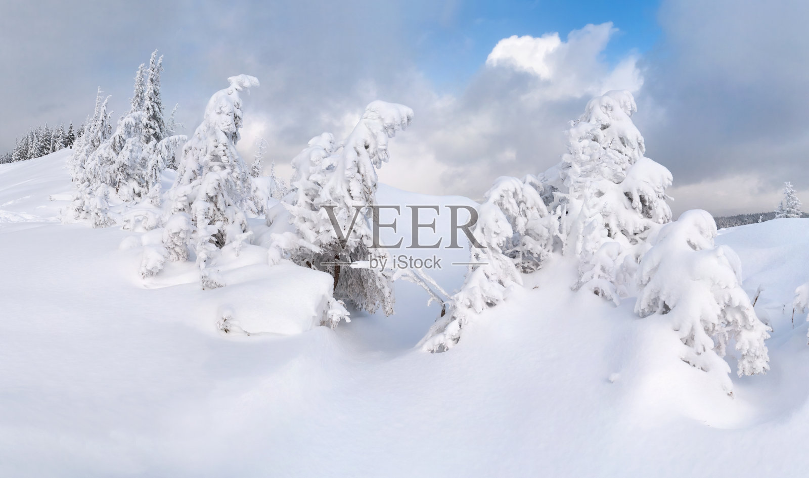 喀尔巴阡山脉美丽的冬季景观照片摄影图片