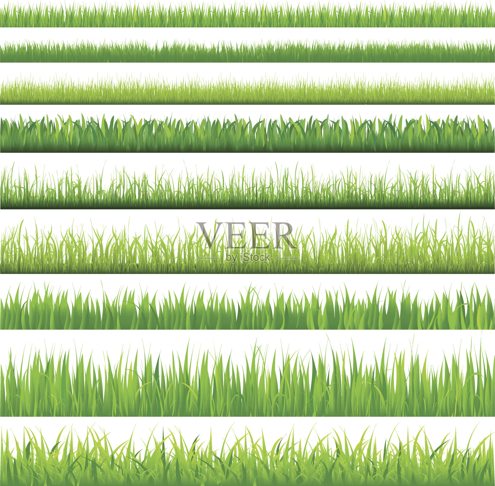 绿草的背景插画图片素材