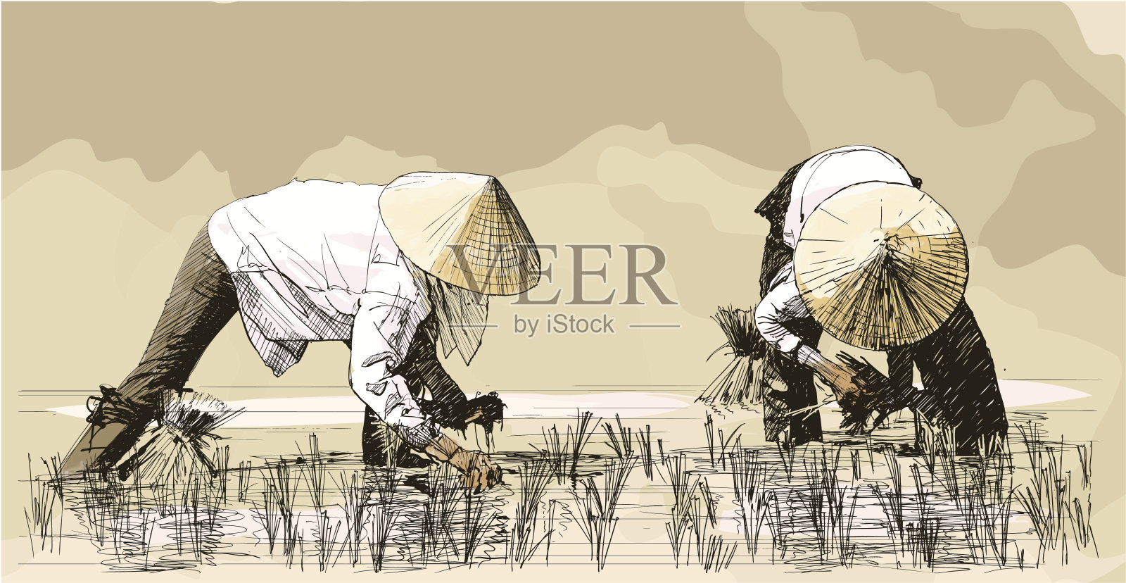 两名妇女在亚洲收割水稻插画图片素材