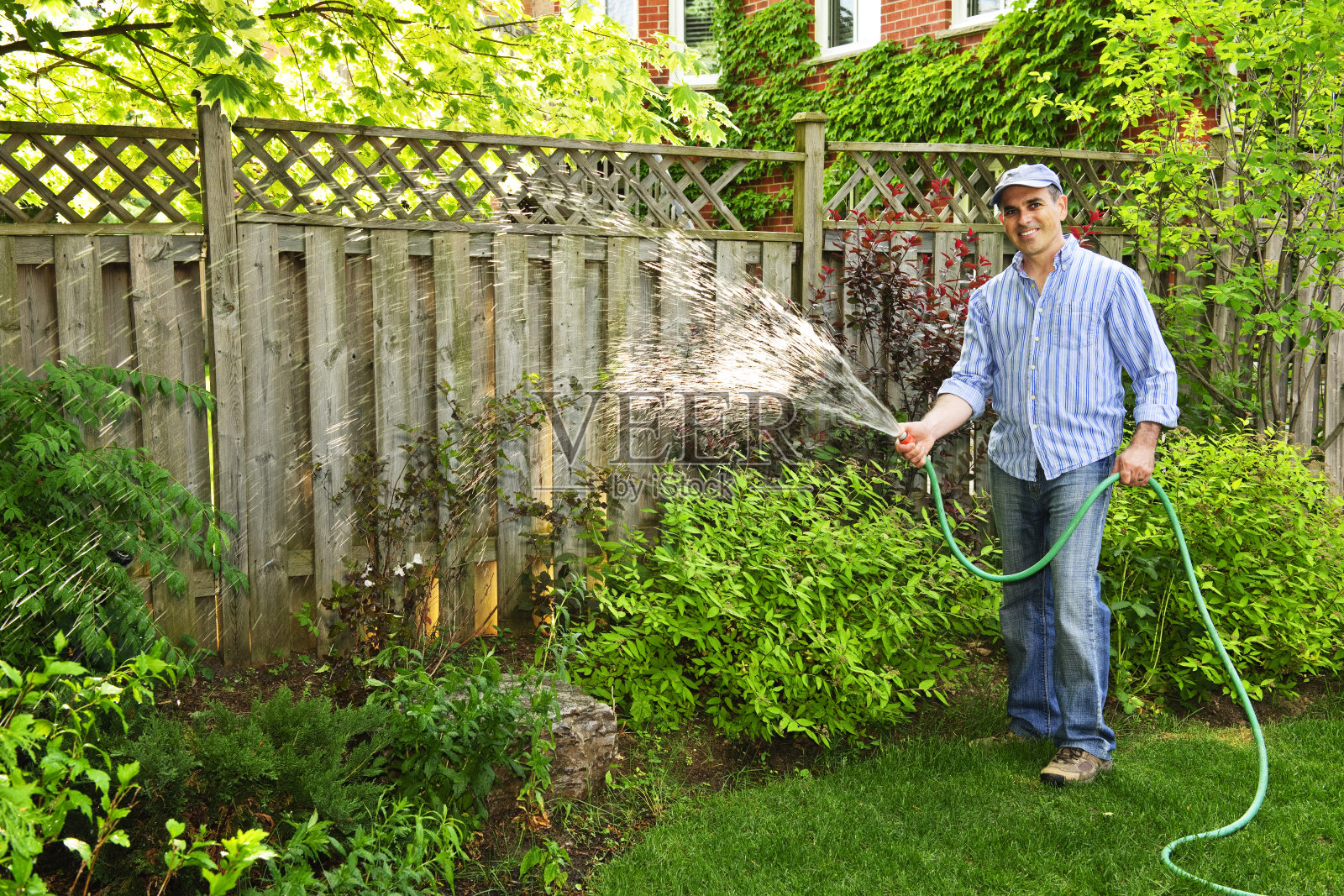 一个男人在后院给他的灌木浇水照片摄影图片