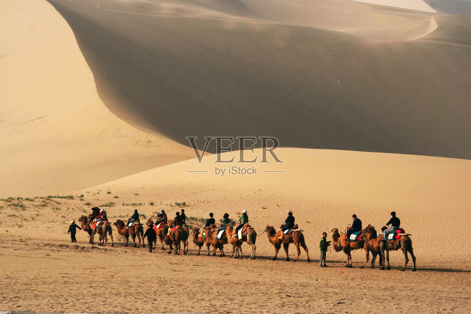 在戈壁沙漠骑骆驼照片摄影图片