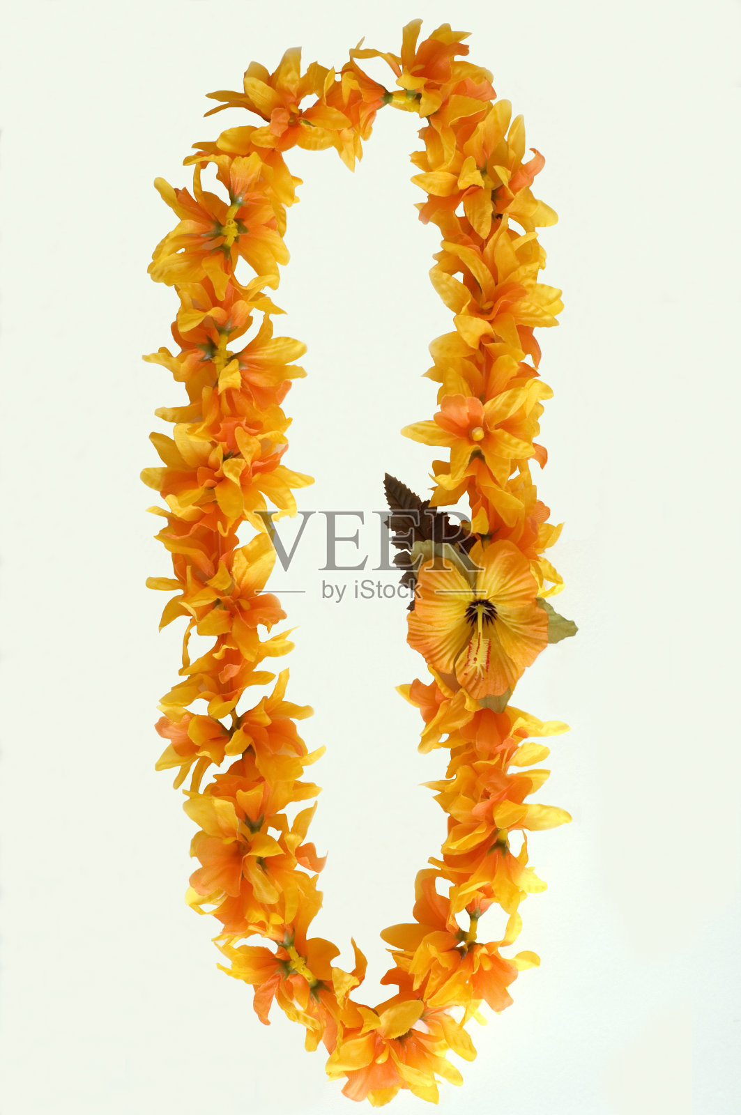 白色背景上的橙色夏威夷花环照片摄影图片