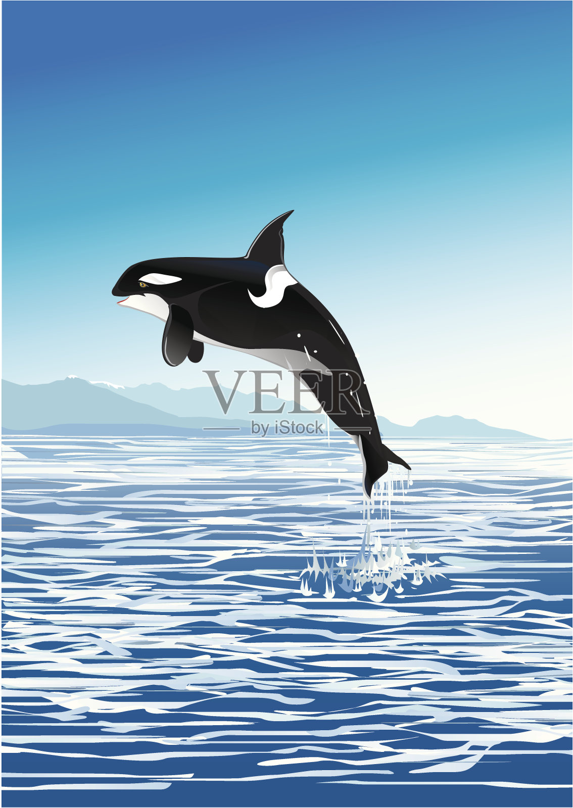 跳虎鲸设计元素图片