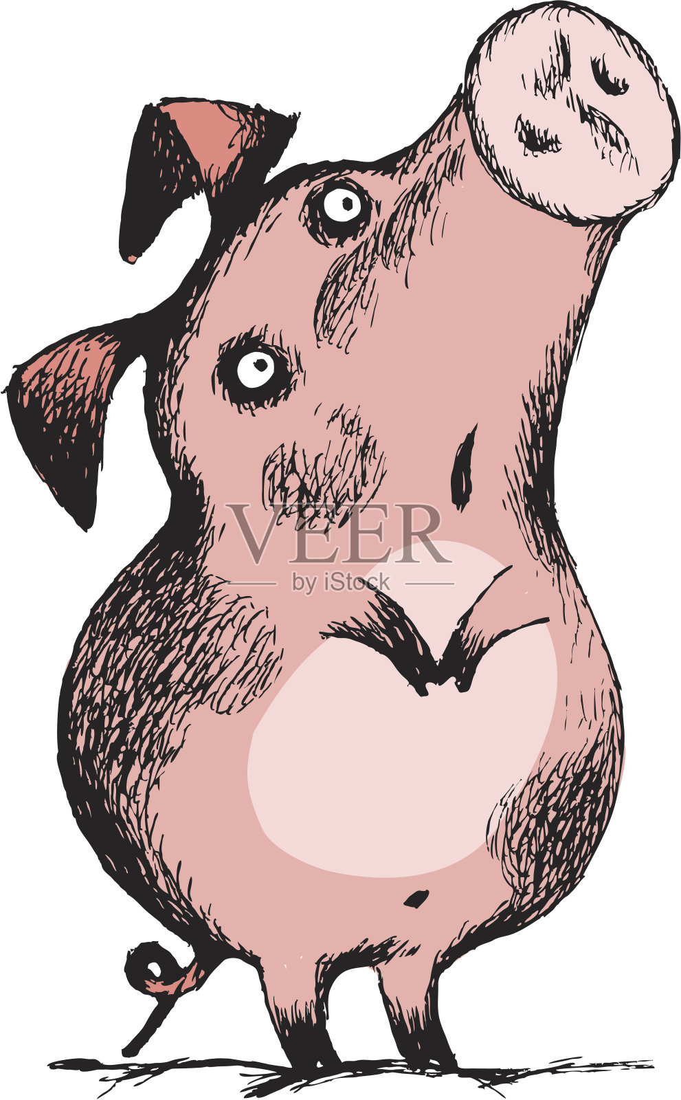 滑稽的猪用后腿站立插画图片素材