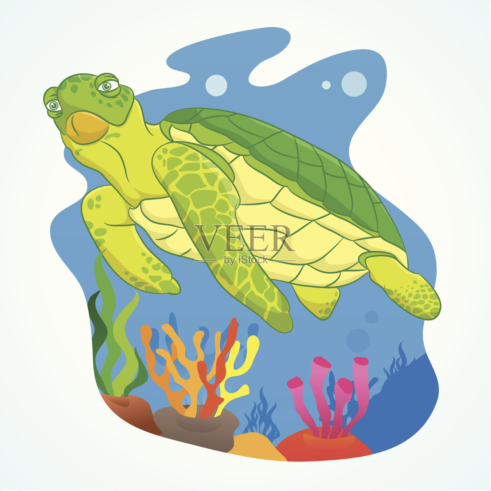 海龟插画图片素材