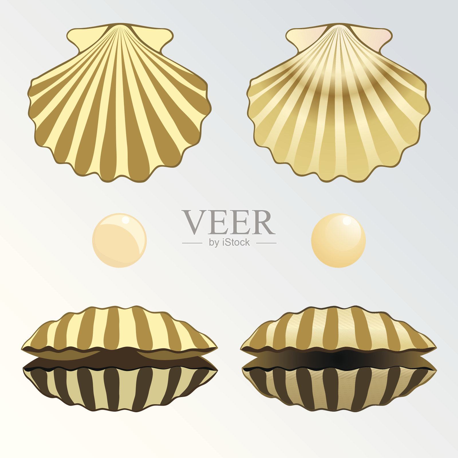 贝壳和珍珠图标设计元素图片