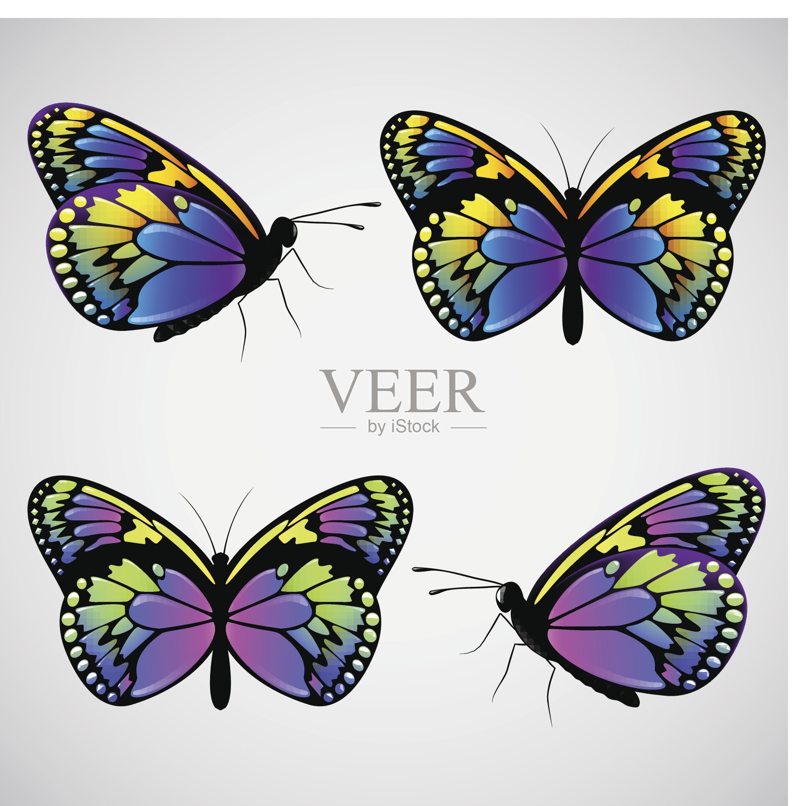 矢量彩色的蝴蝶设计元素图片