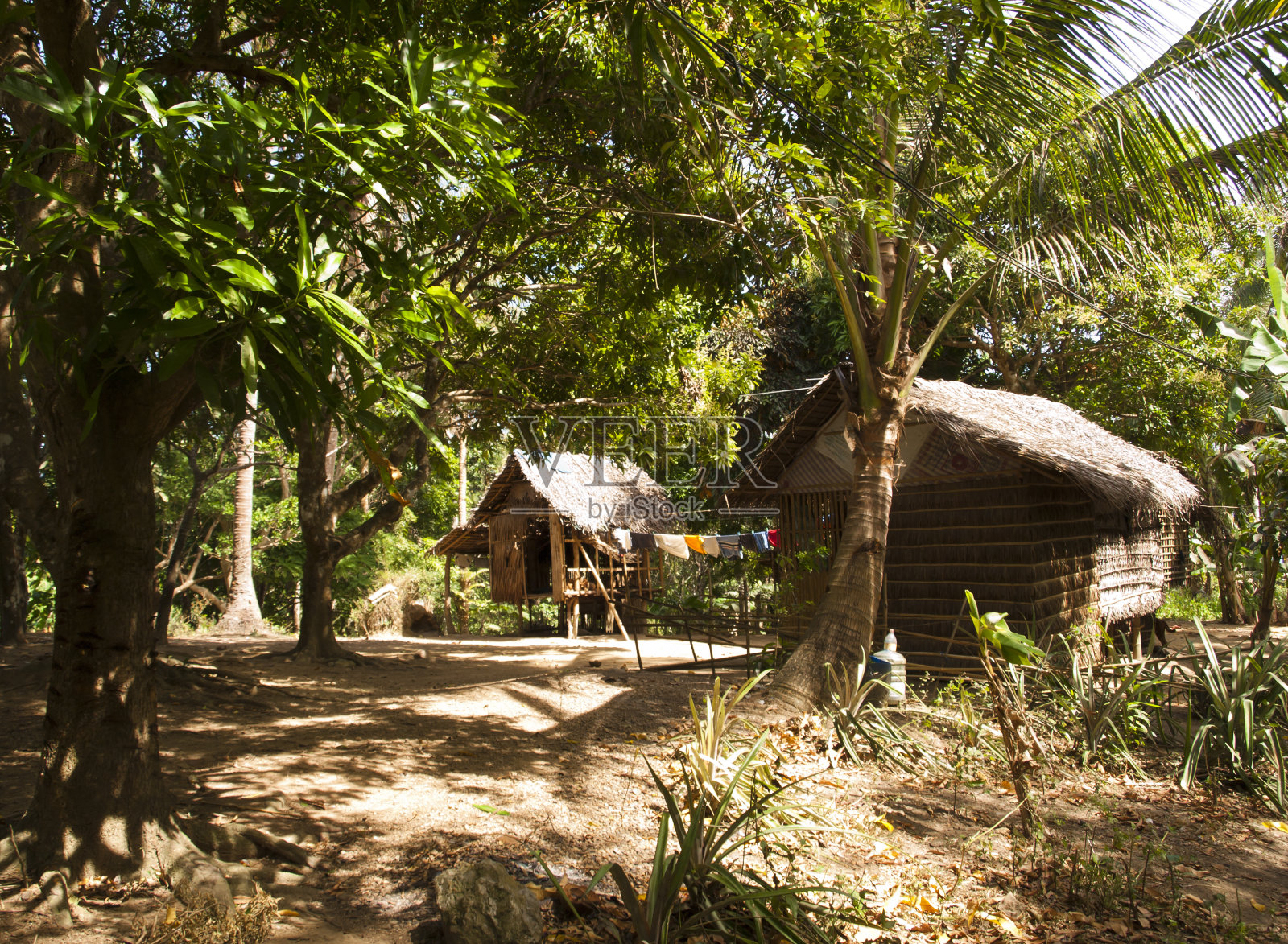 丛林中传统的菲律宾小屋照片摄影图片