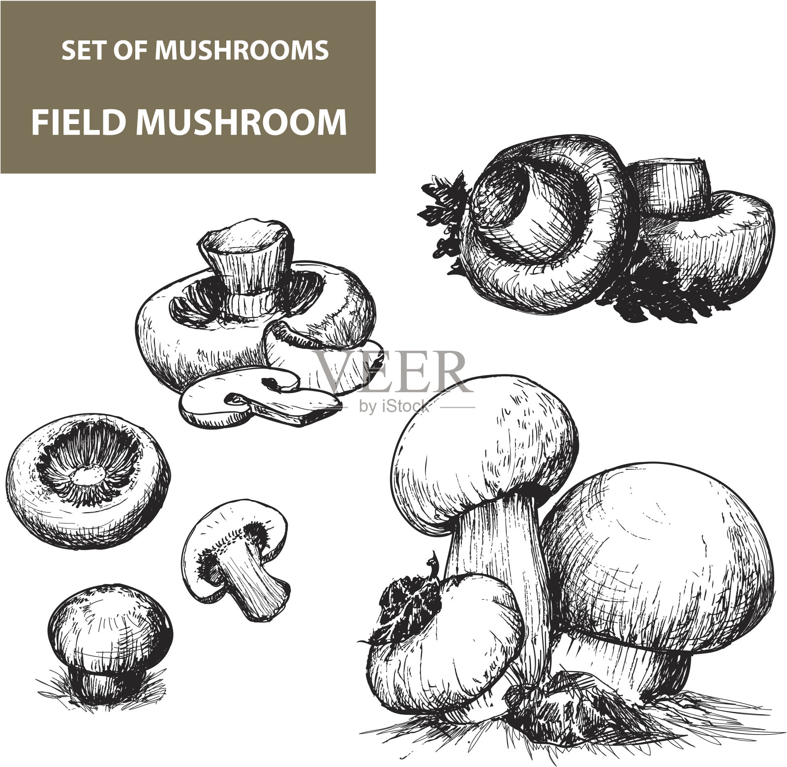一套手绘蘑菇与阴影插画图片素材