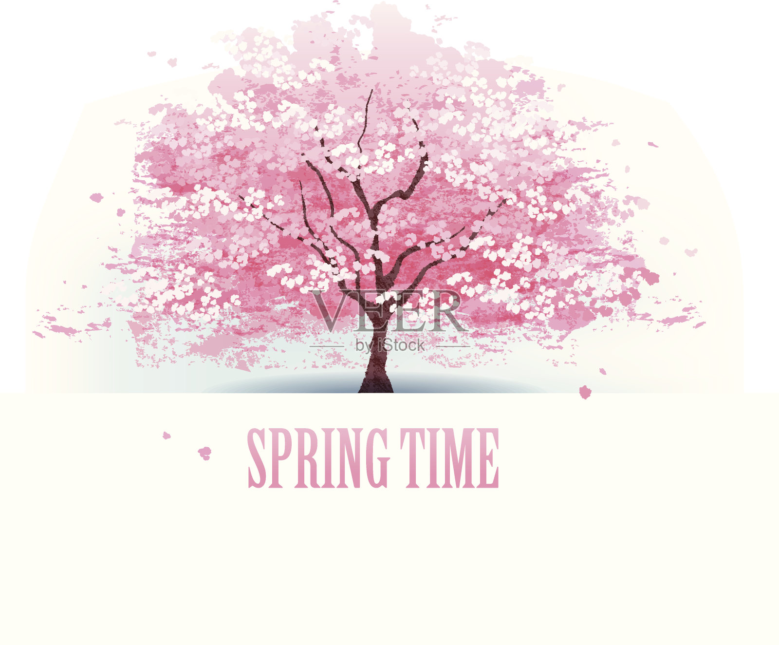 美丽的樱花树插画图片素材