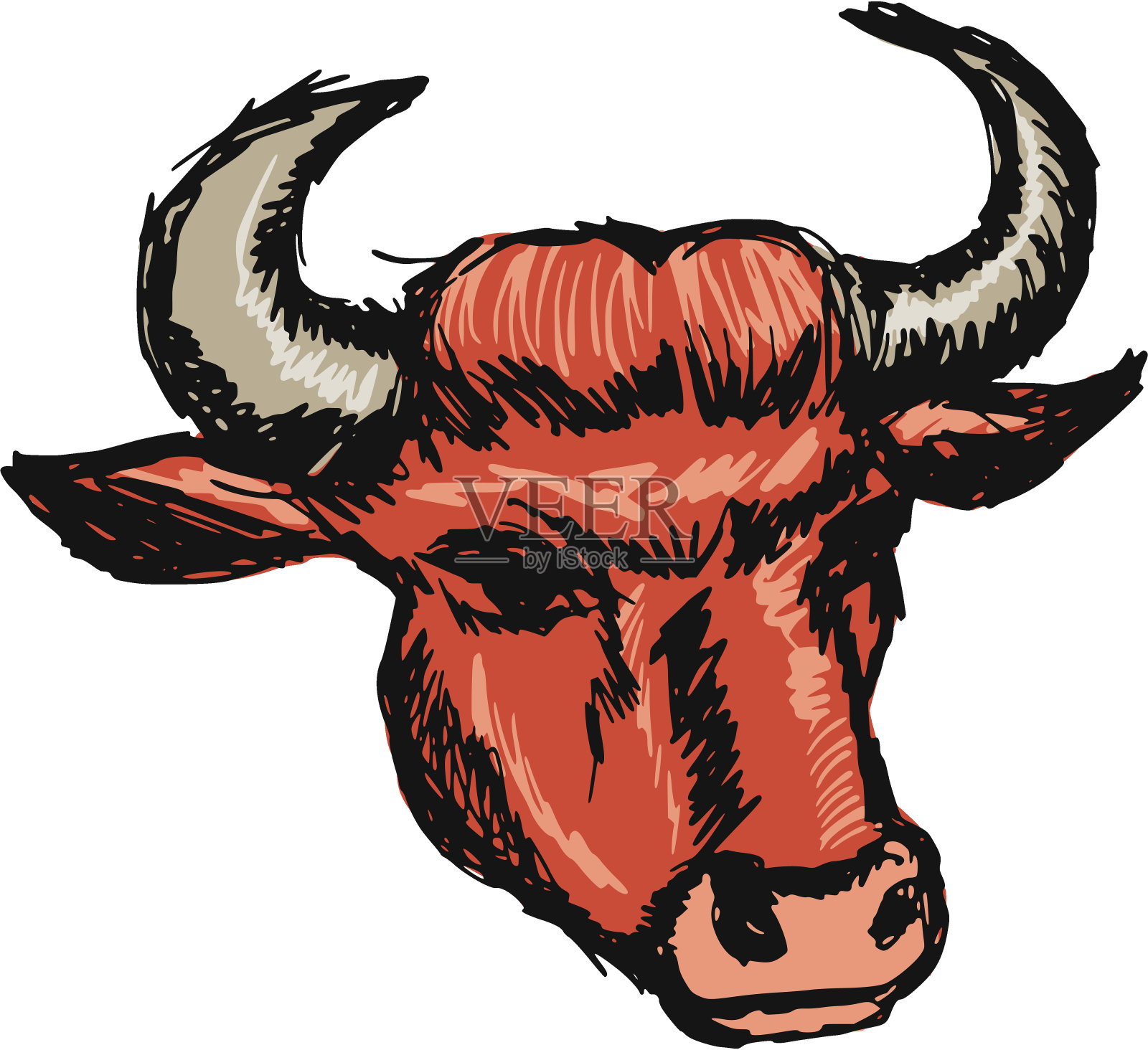 牛的头插画图片素材