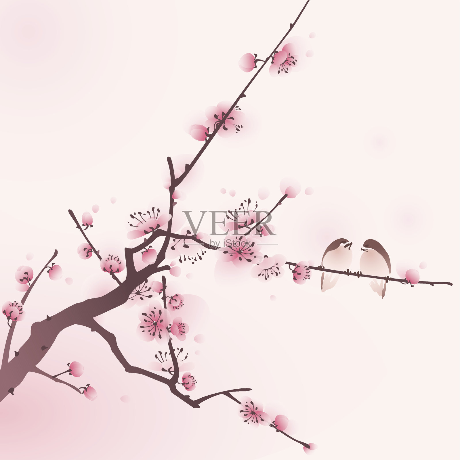 东方画风，春天樱花盛开插画图片素材
