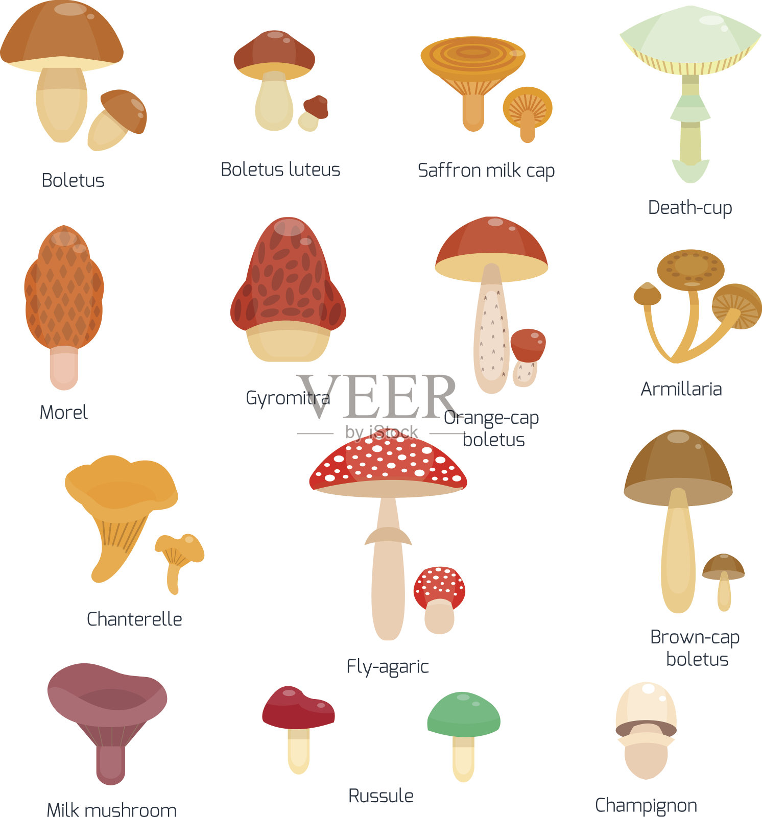 矢量图不同类型的蘑菇设计元素图片