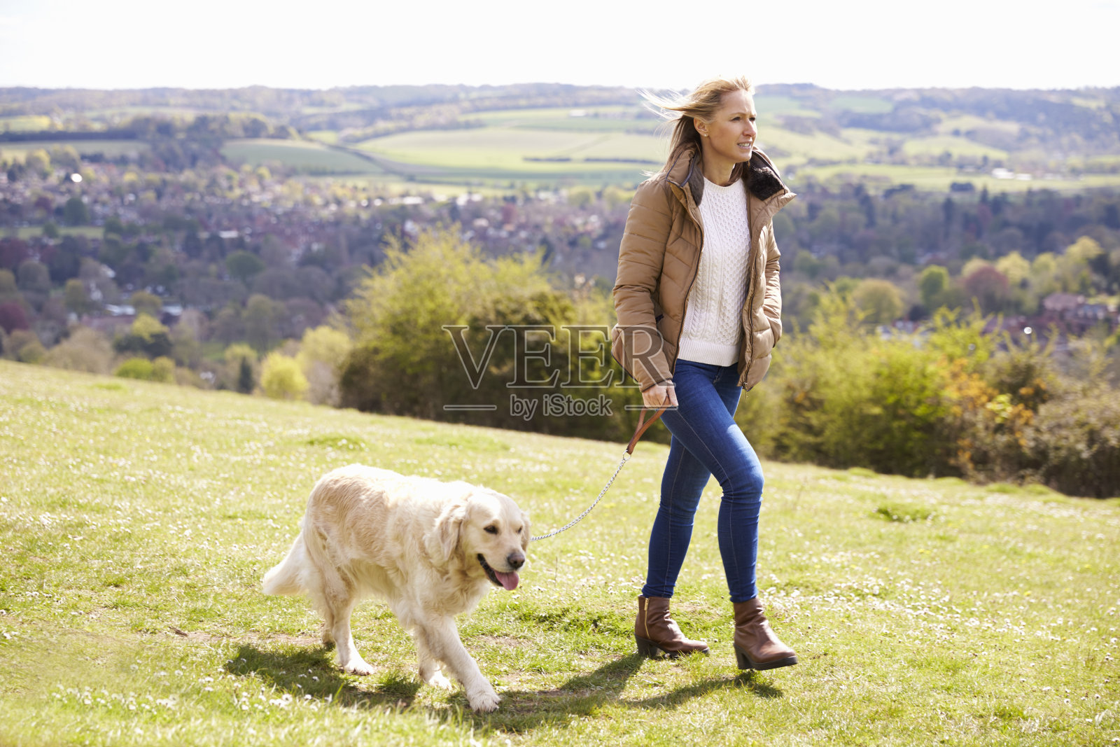 成熟的女人带着金毛猎犬在乡间散步照片摄影图片