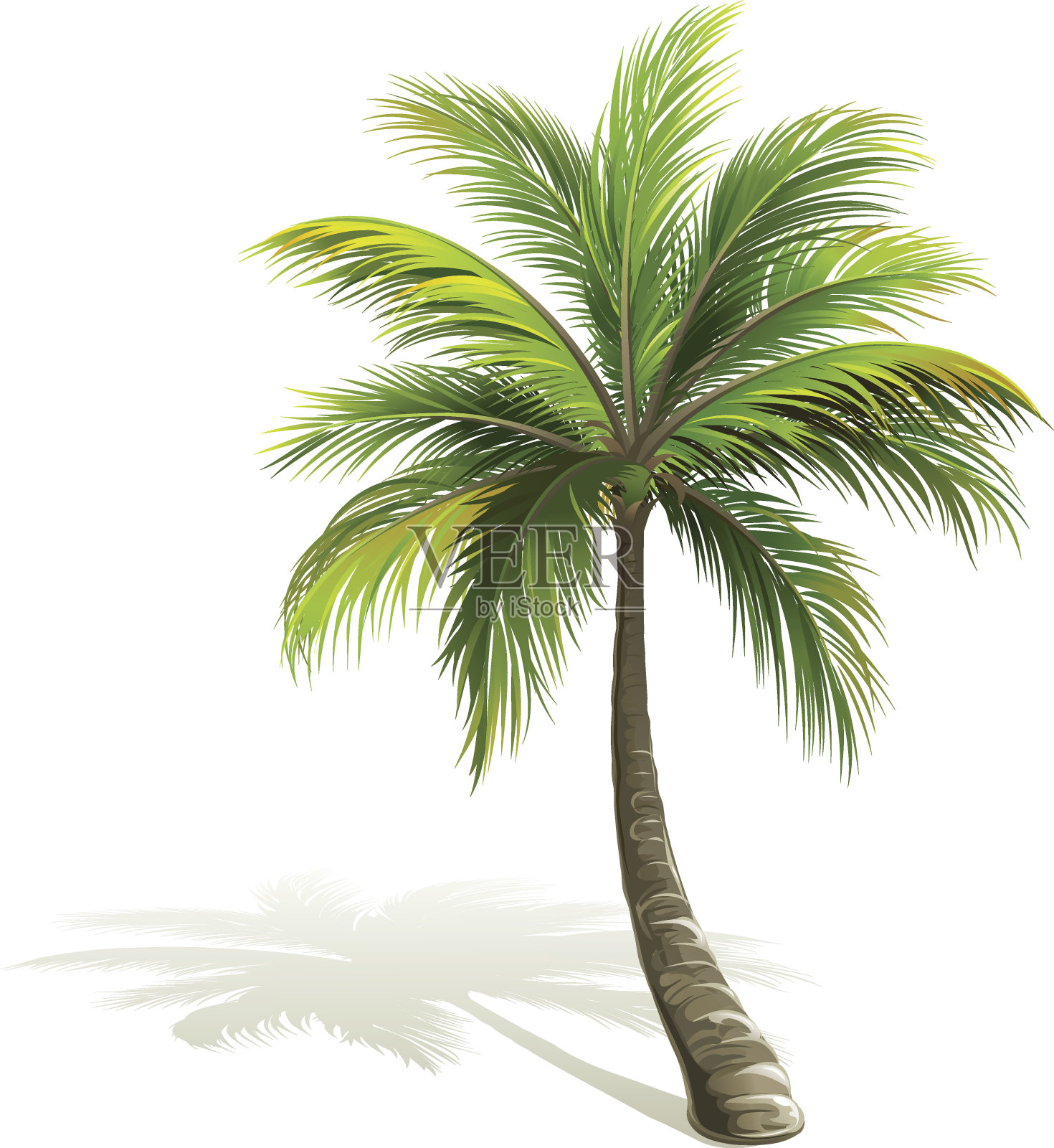 棕榈树设计元素图片
