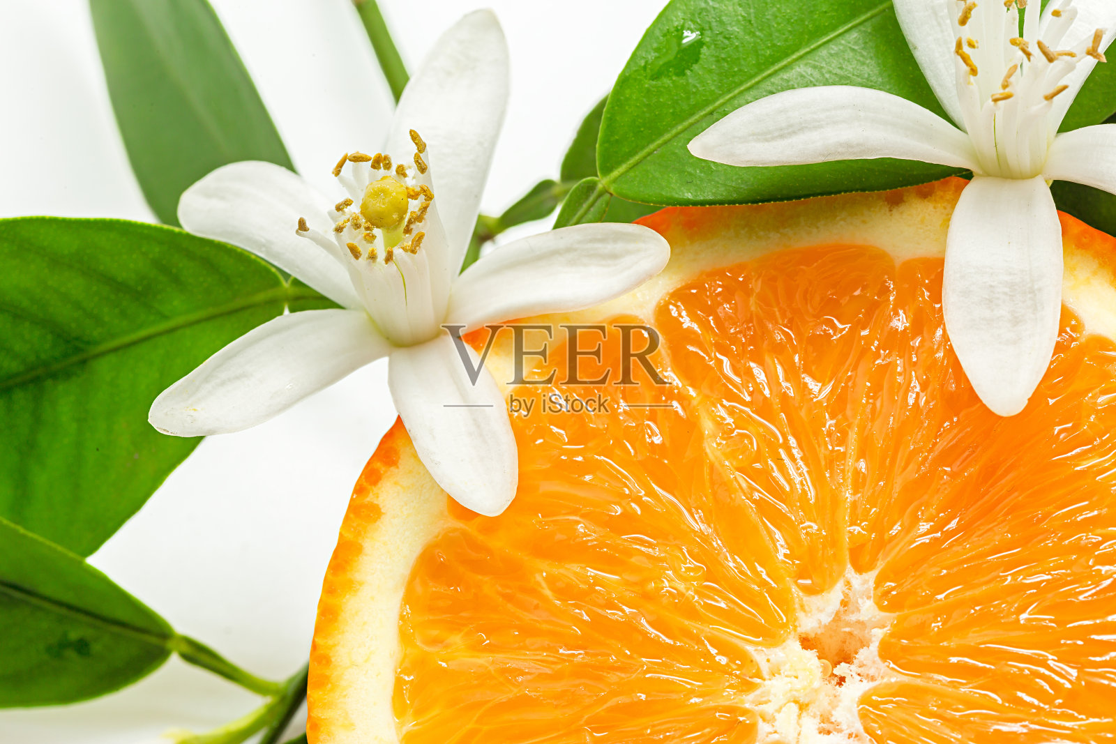 近距离的新鲜橙水果与叶和花照片摄影图片