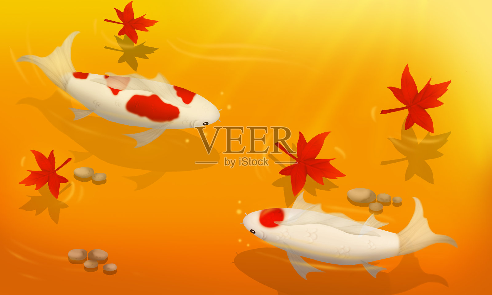 锦鲤在秋天捕鱼插画图片素材