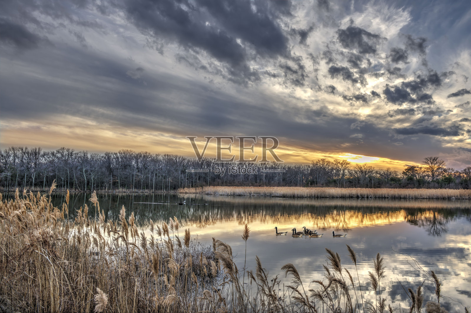 宁静的切萨皮克湾池塘在冬季日落照片摄影图片