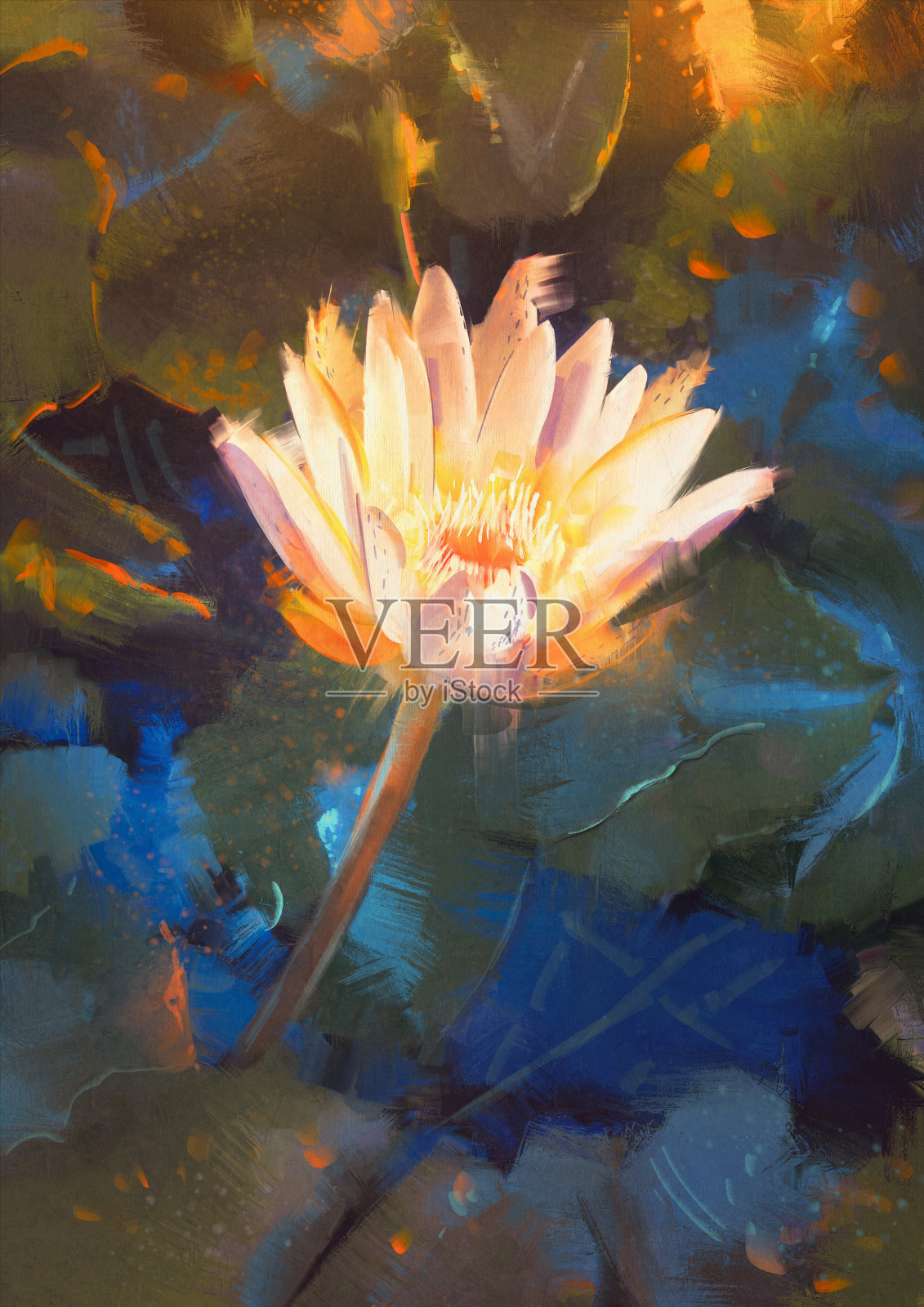 美丽的黄莲绽放，单朵睡莲绽放在池塘里插画图片素材
