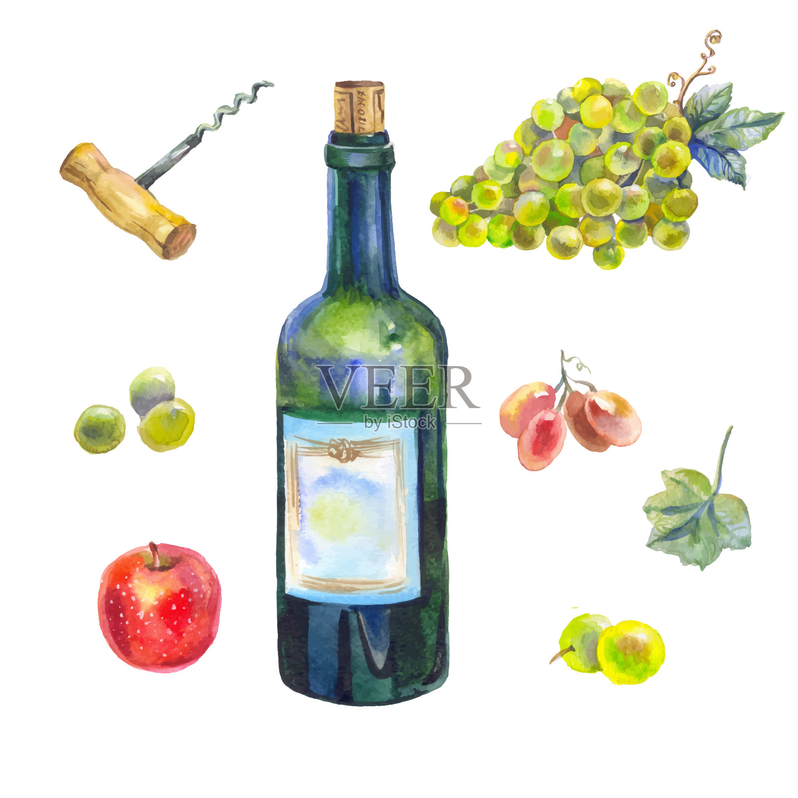 水彩葡萄酒收藏插画图片素材