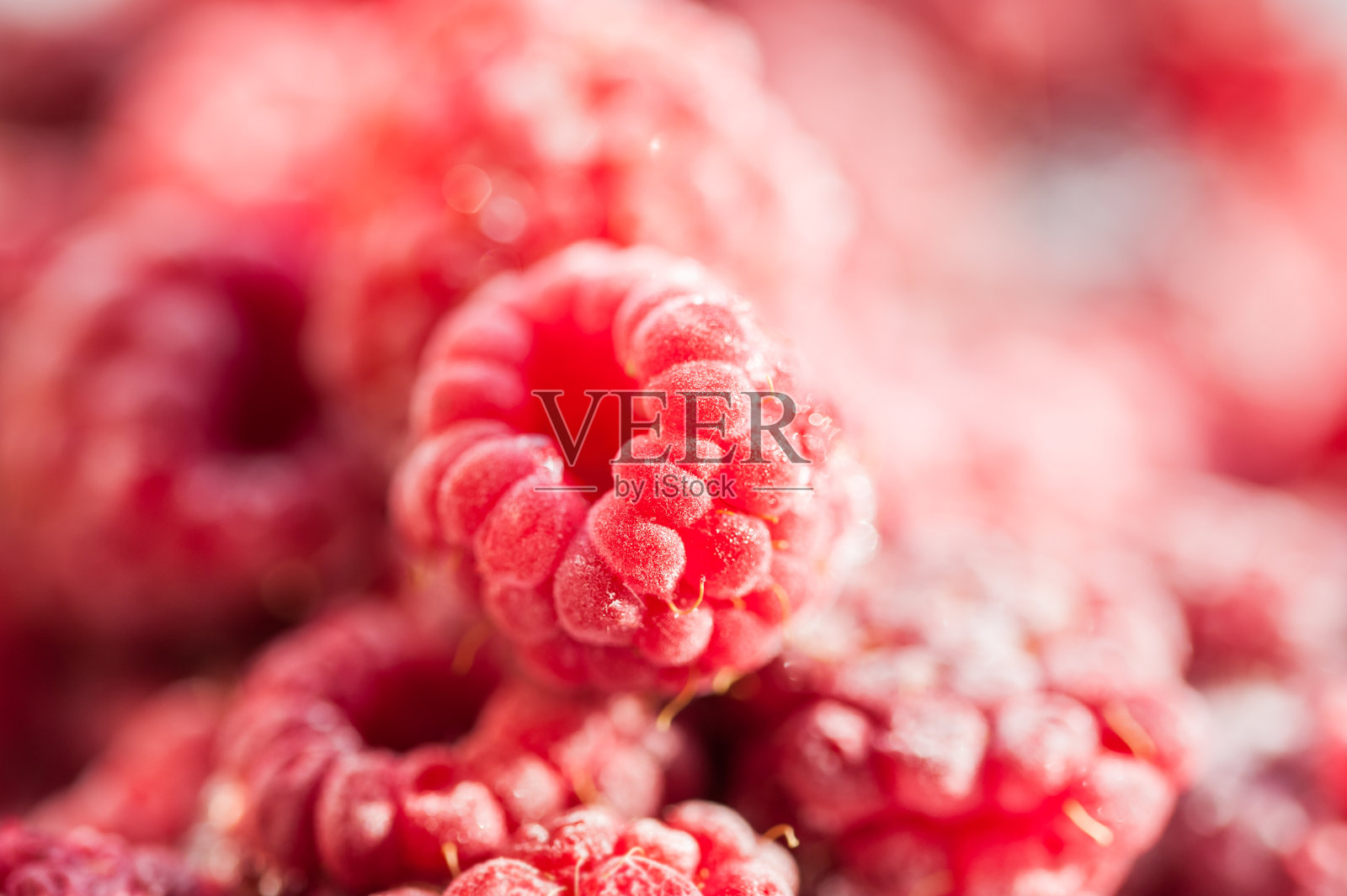 冷冻树莓浆果。照片摄影图片