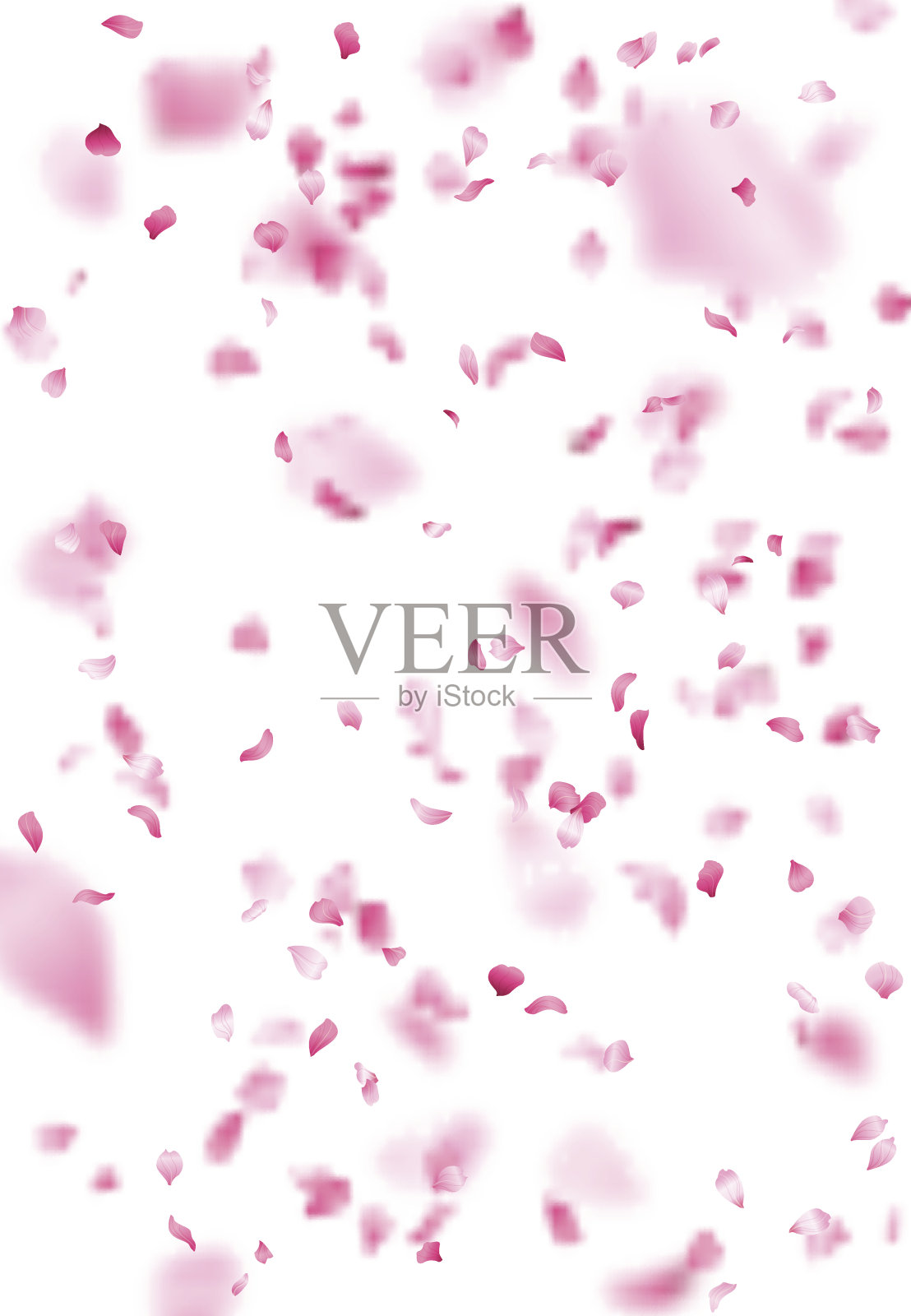 粉红色的樱花花瓣背景。插画图片素材