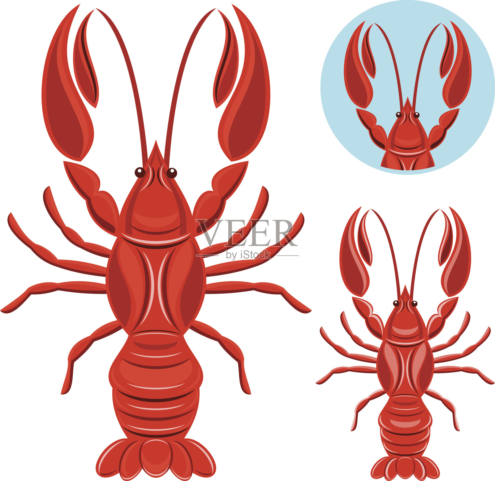 小龙虾插画图片素材