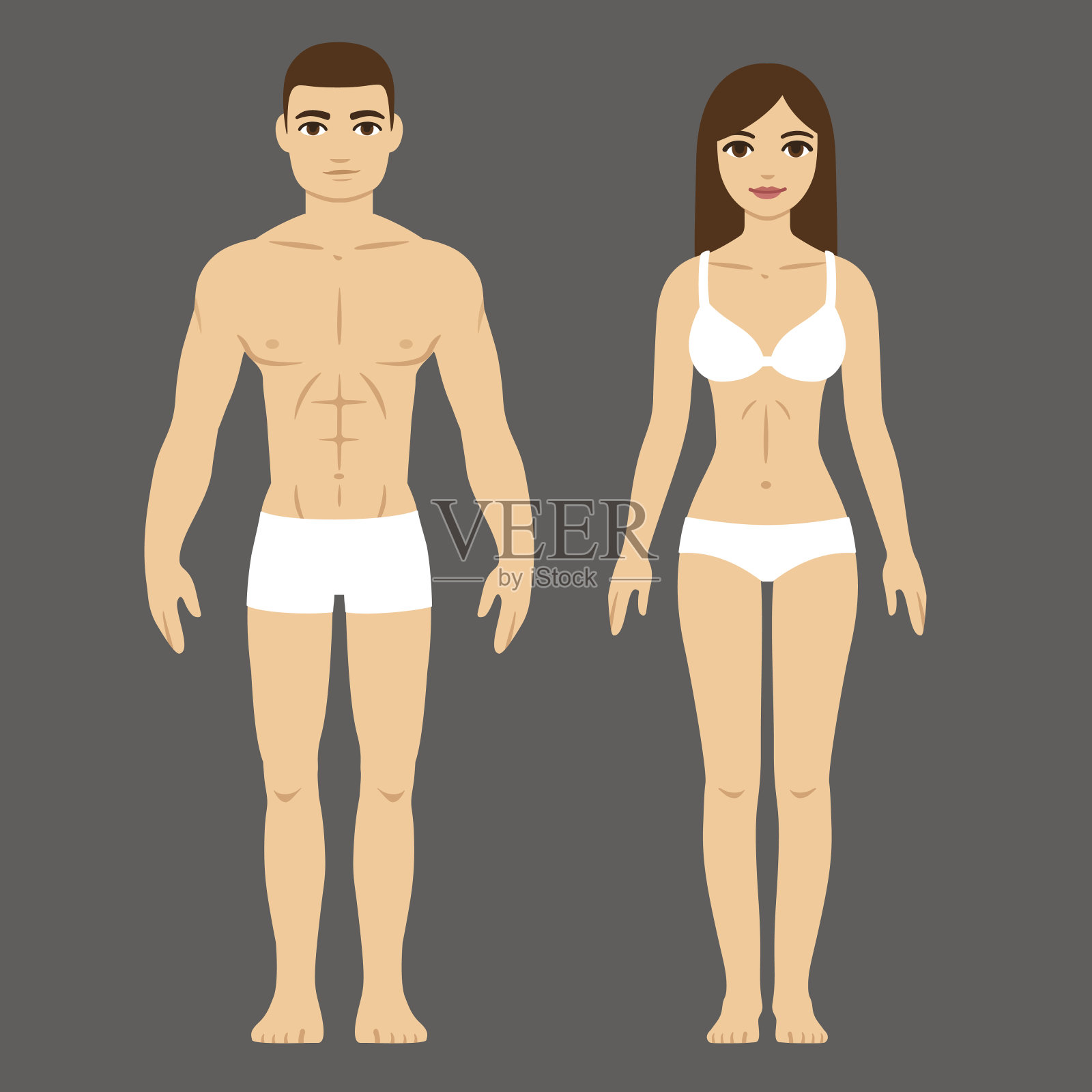 男性和女性的身体插画图片素材