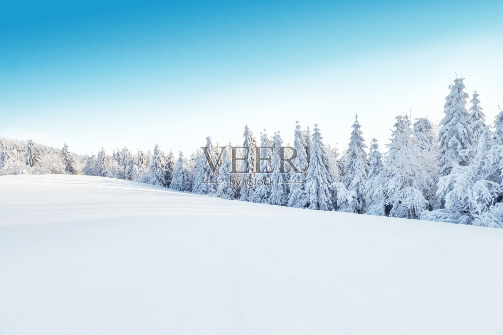 冬天下雪的景色照片摄影图片