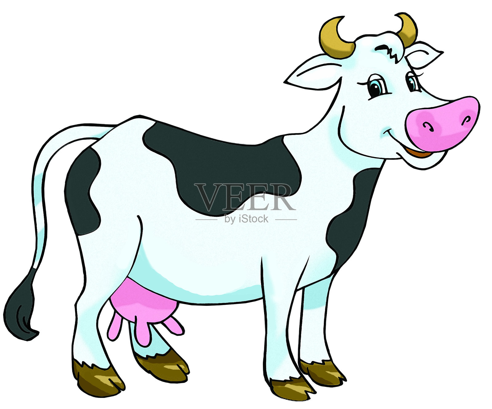 牛插图插画图片素材