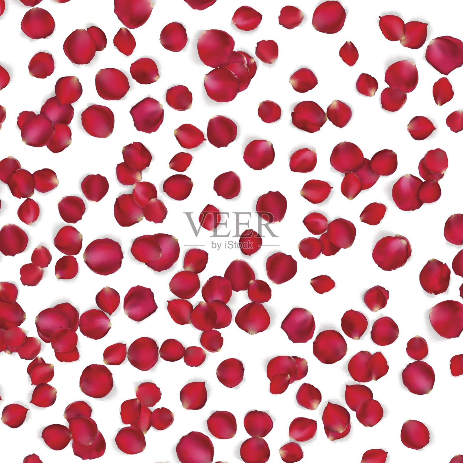 玫瑰花瓣的情人节卡片。每股收益10插画图片素材
