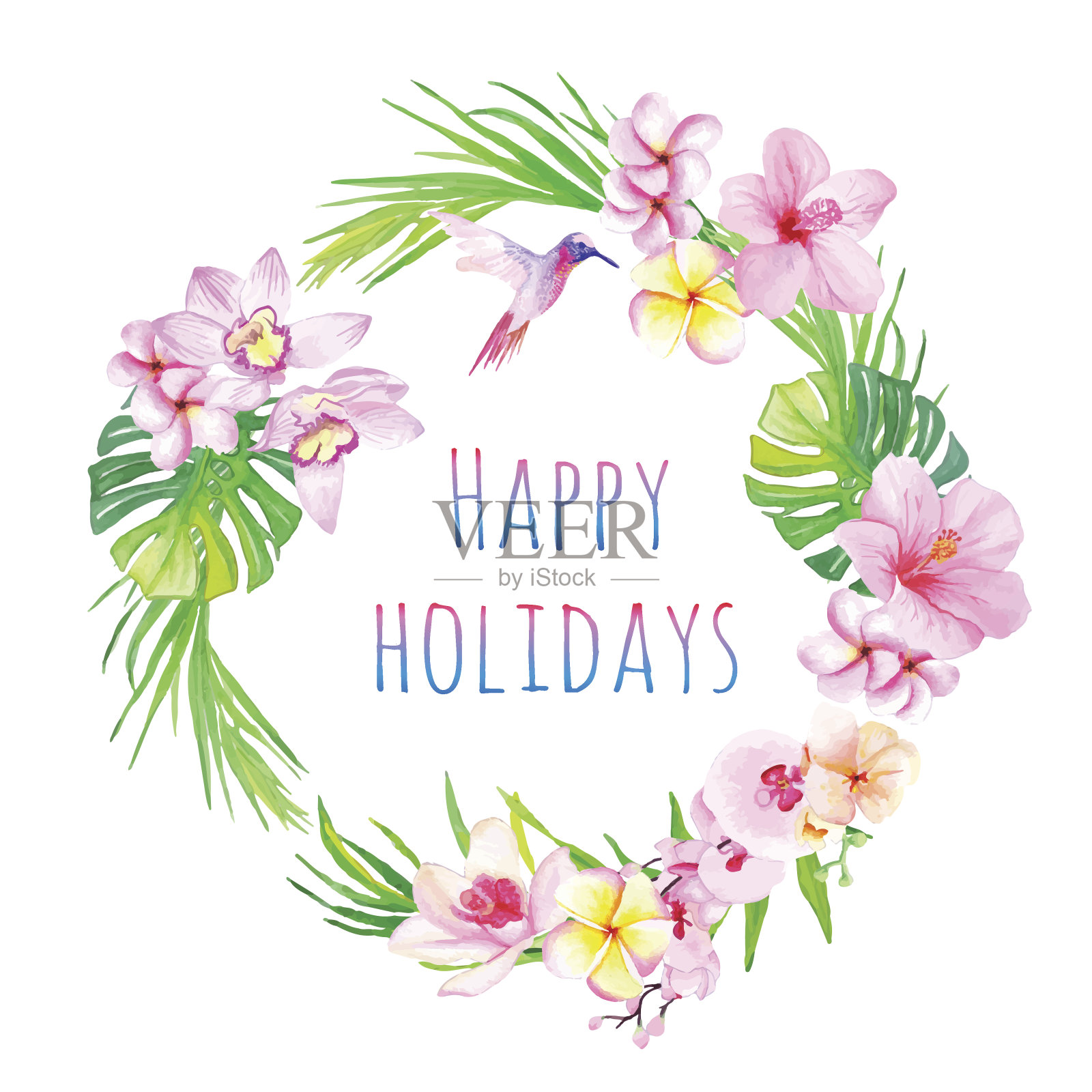 节日快乐，热带花卉矢量设计框架插画图片素材