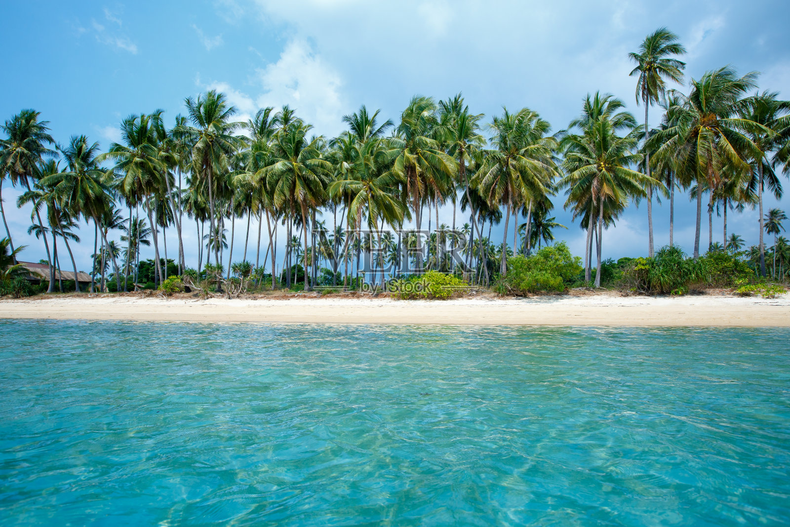 泰国苏梅岛的热带海滩和椰子树照片摄影图片
