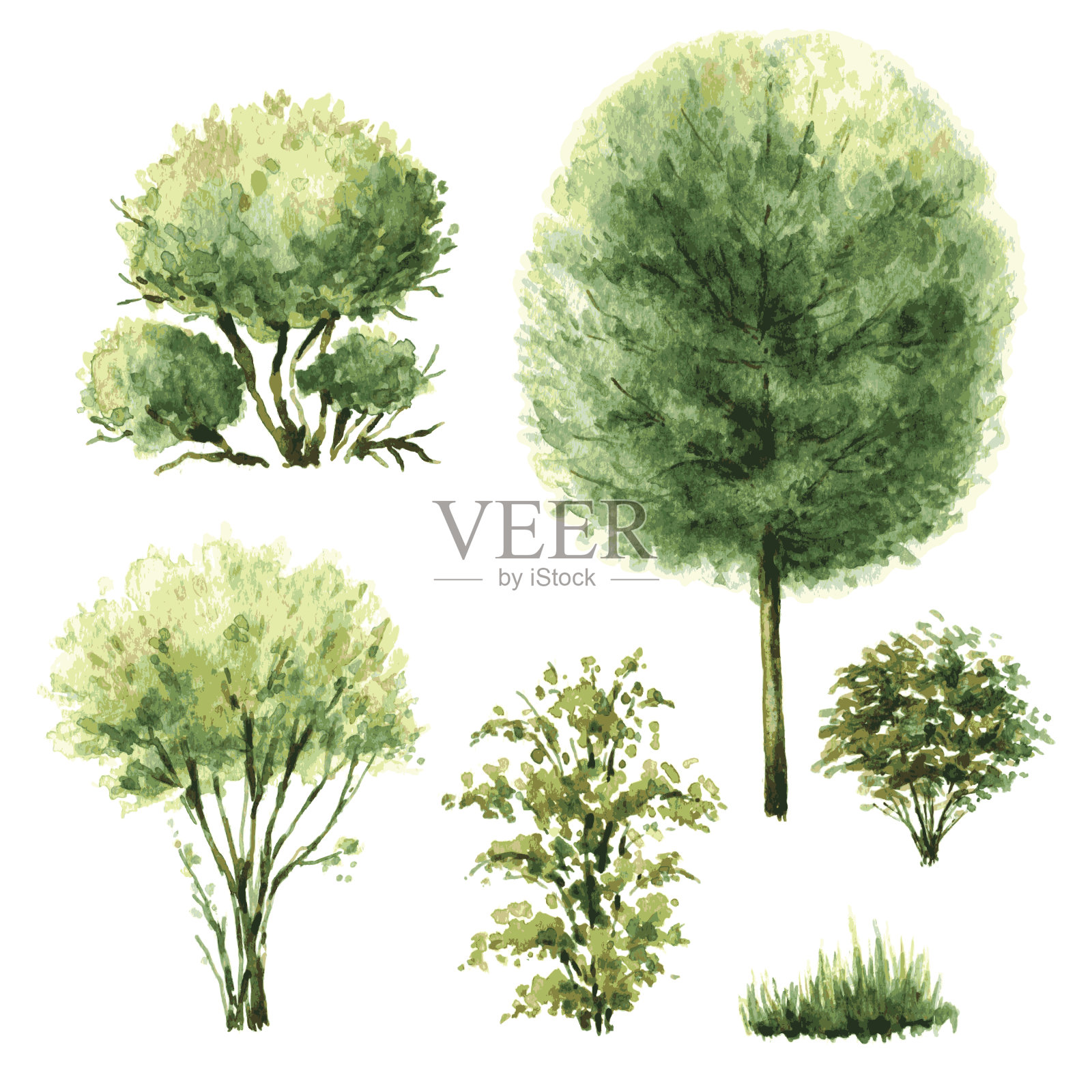 一组绿色的树木和灌木丛。设计元素图片