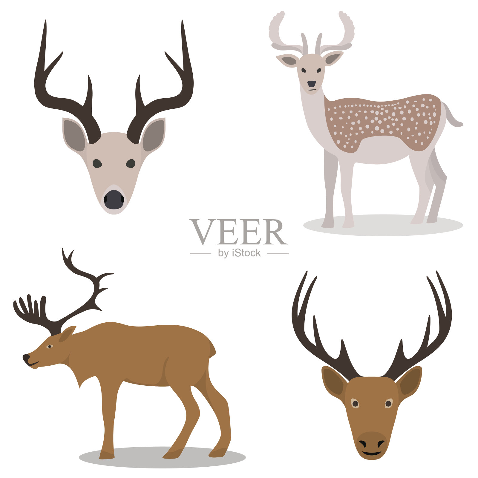 鹿和他们的头插画图片素材