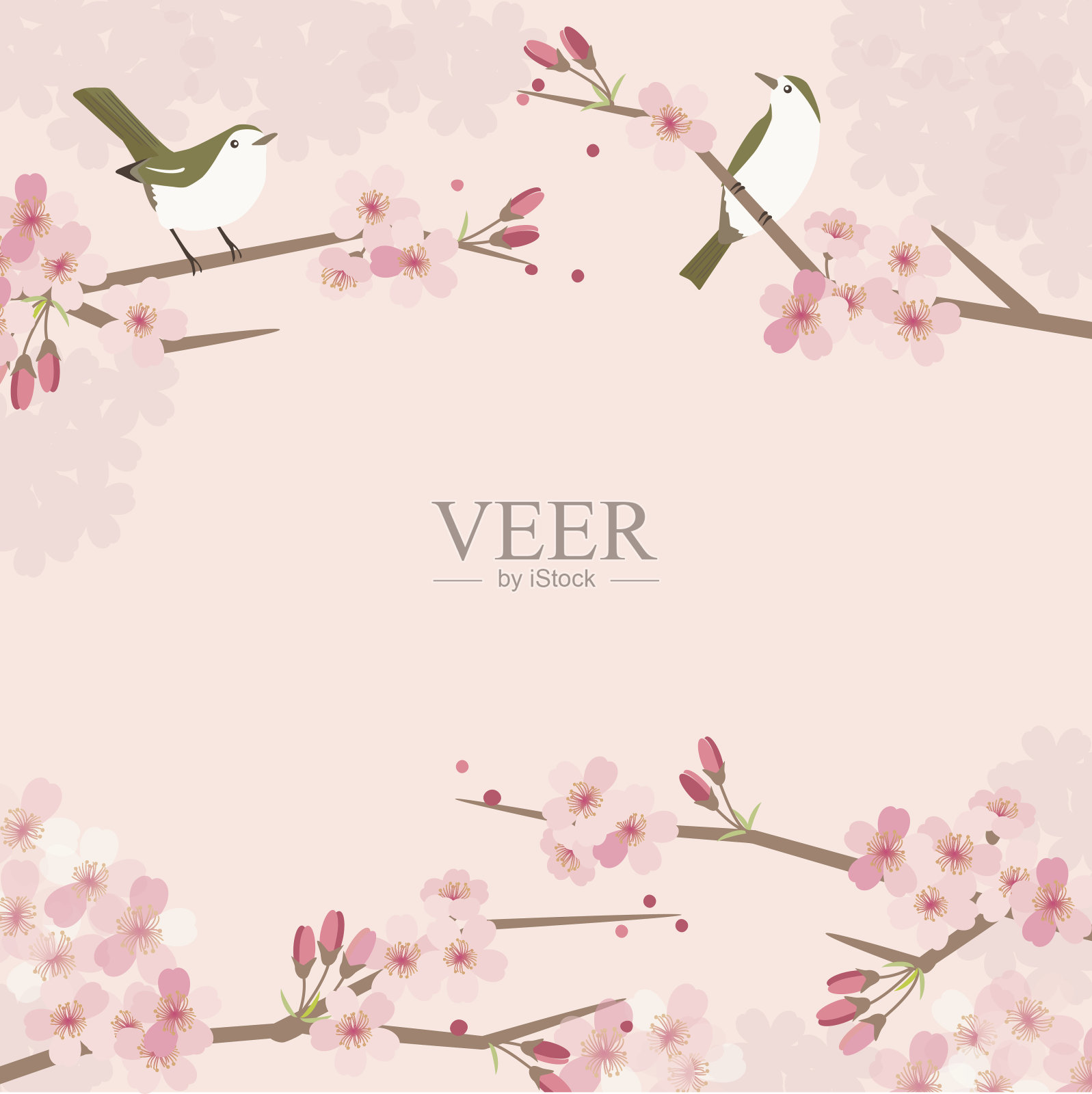 樱花和鸟的背景插图插画图片素材